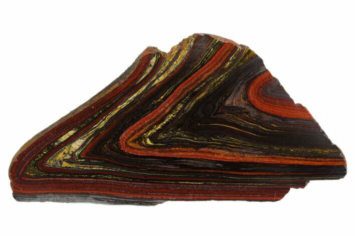 Polished Tiger Iron Stromatolite - Billion Years #129280